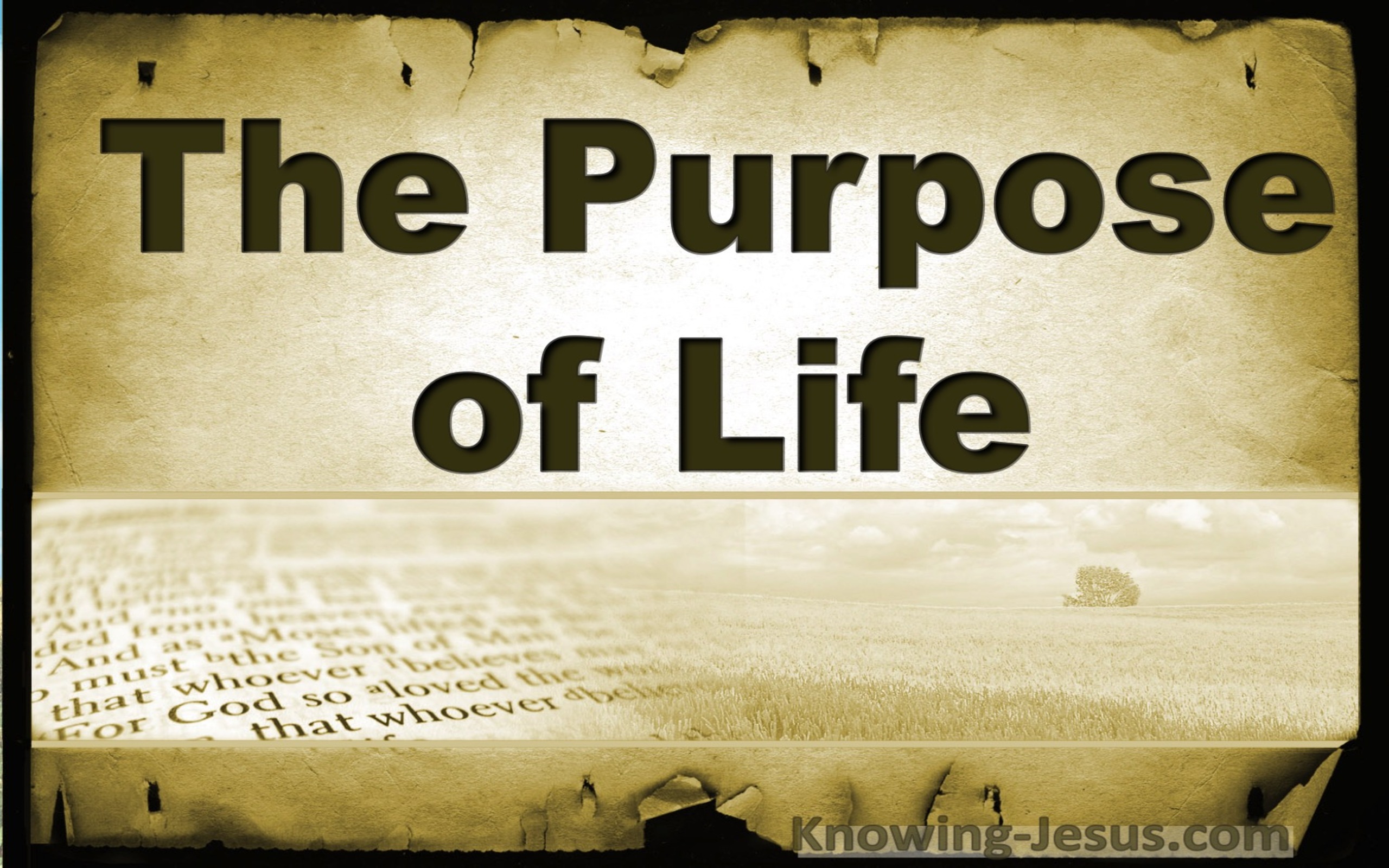 The Purpose Of Life (devotional)03-31 (gold)